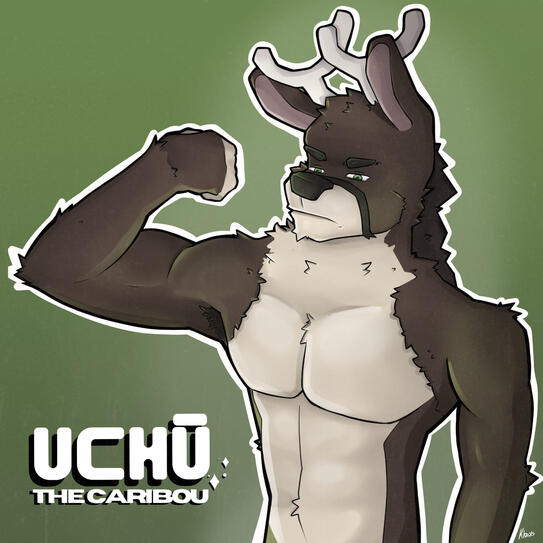 Half-body | 25$